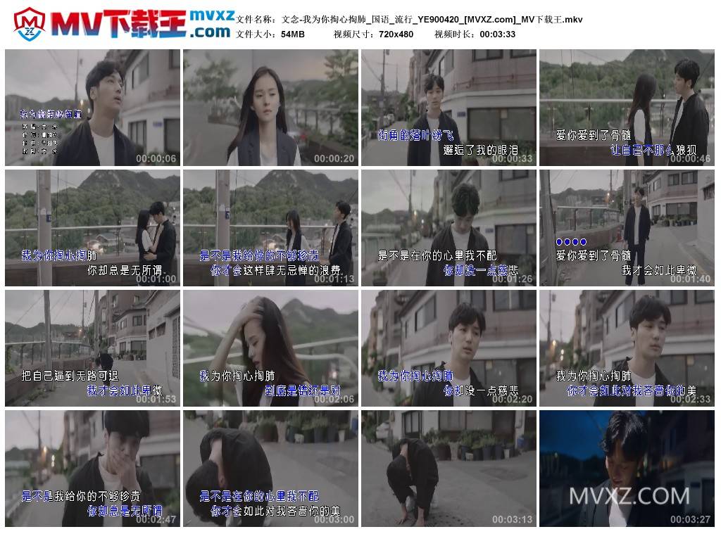 文念-我为你掏心掏肺_国语_流行_YE900420